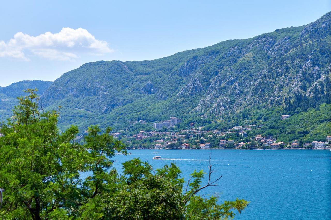 Apartment Plagenti With Sea View Kotor Exterior photo
